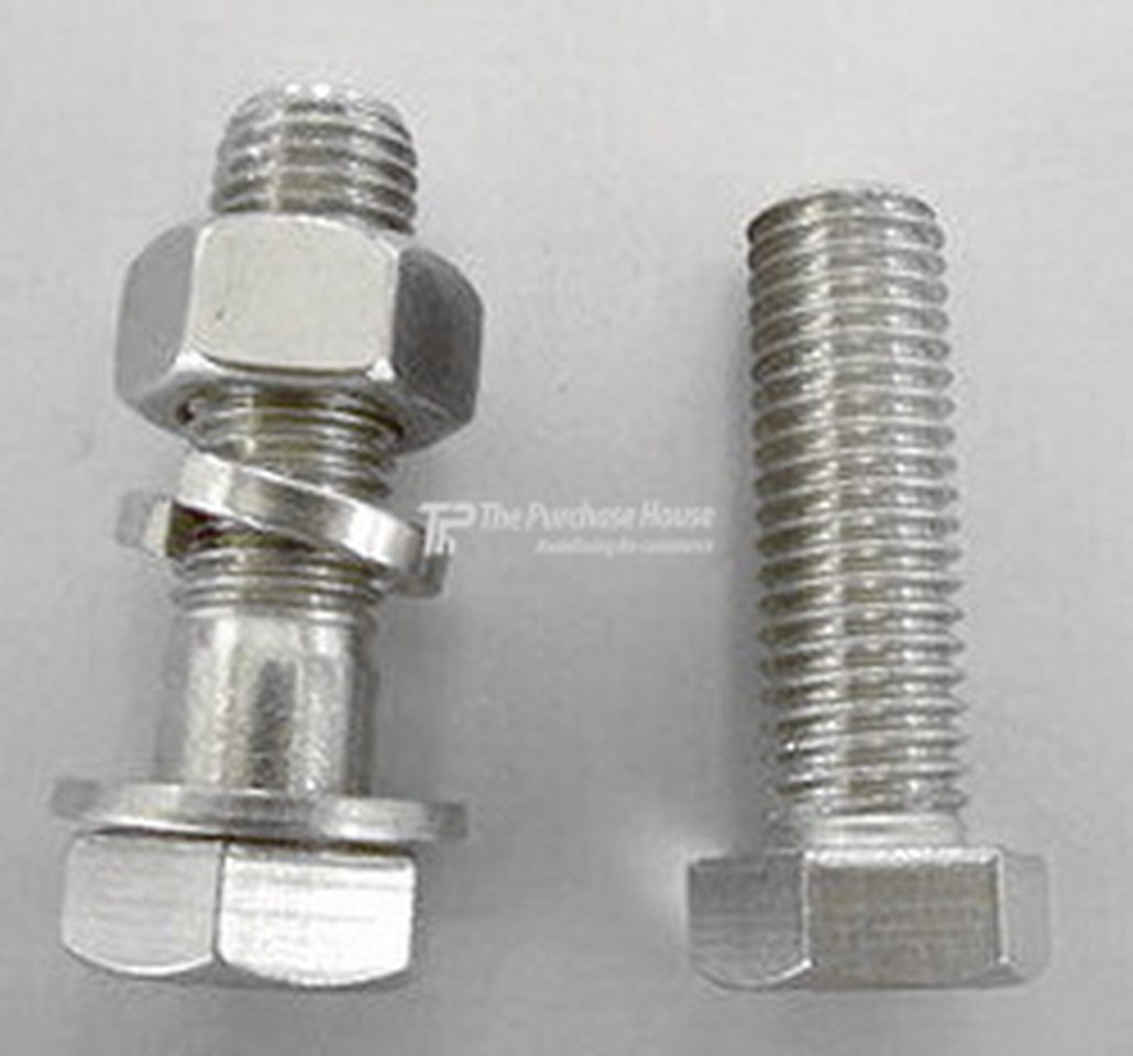 SS NUT BOLTS