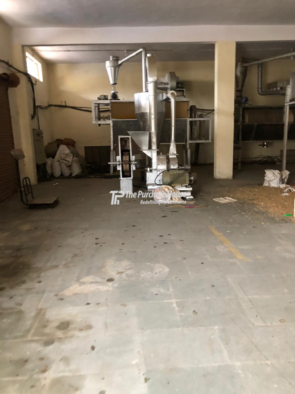 HALDI PLANT