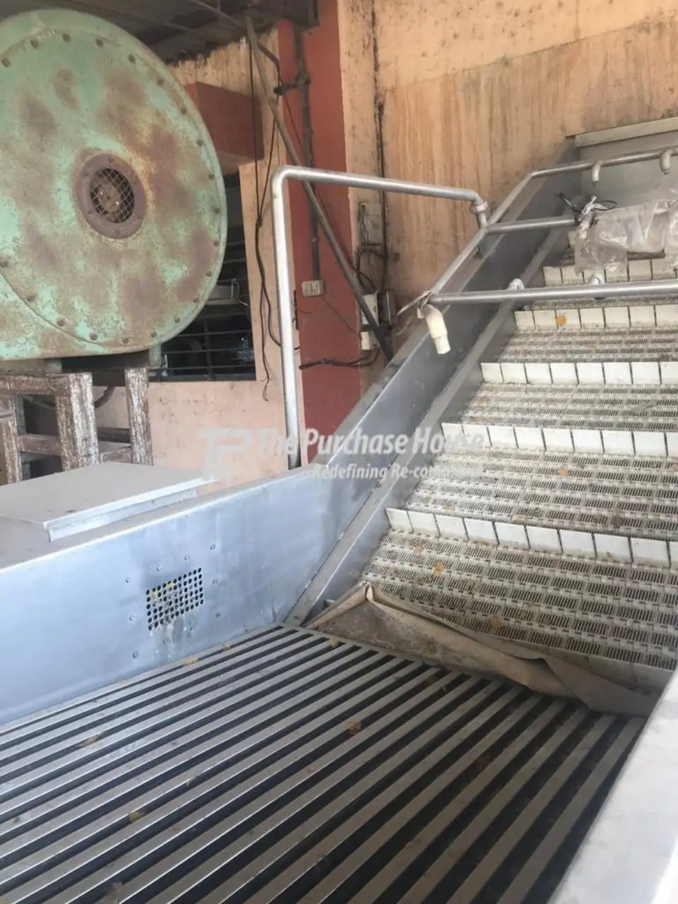Fruit Washer for Efficient Cleaning and Processing