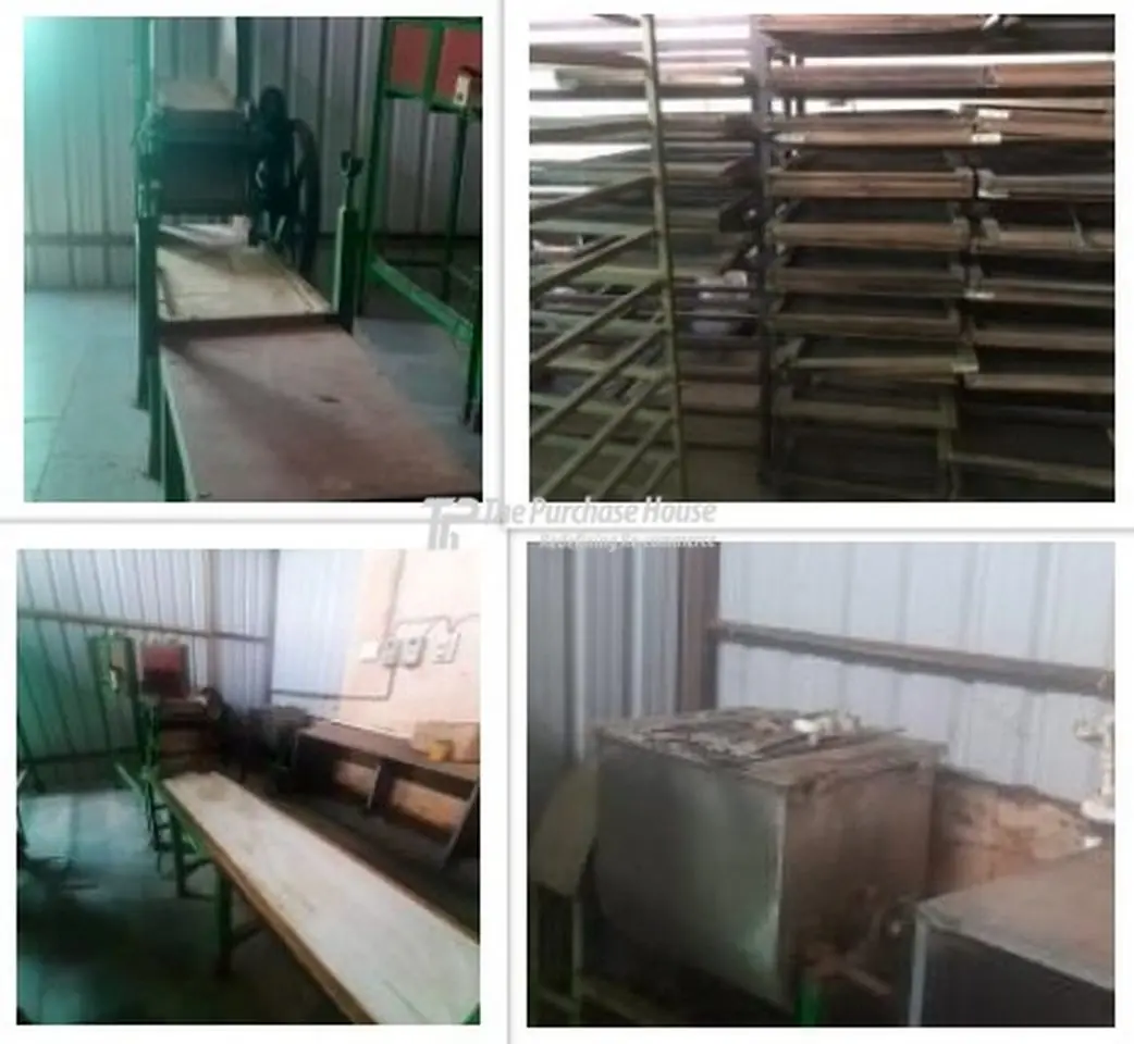 Noodle making plant setup