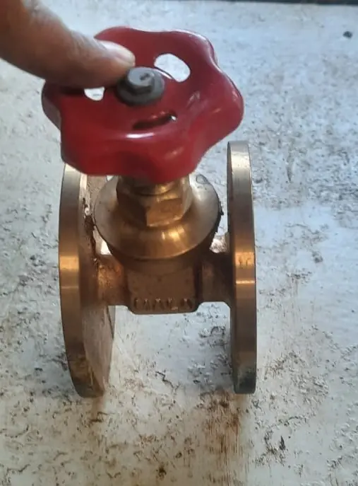 GUN METAL GATE VALVE